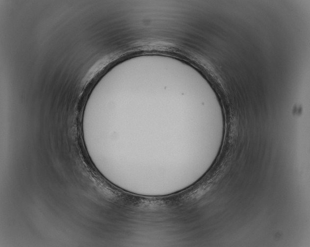 X0000088880978200707061406