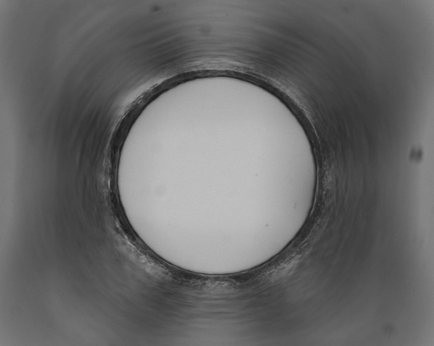 X0000088880979200707061406
