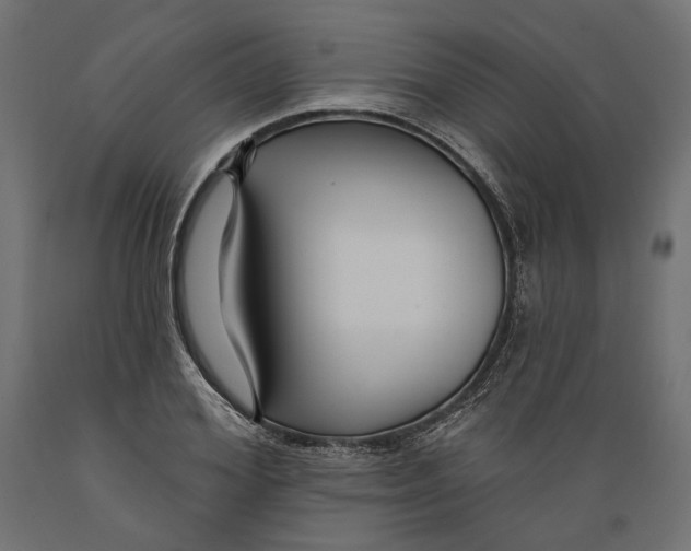 X0000088880980200707061406