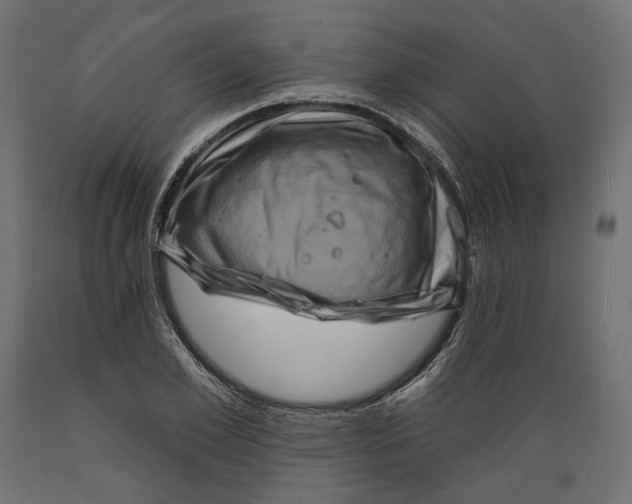 X0000088880981200707061406