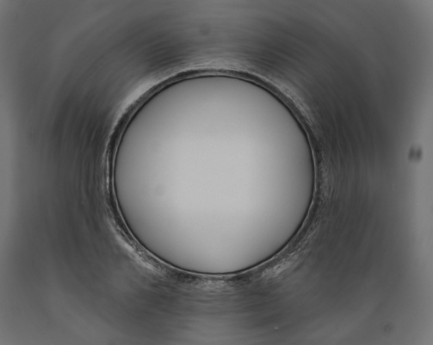 X0000088880982200707061406