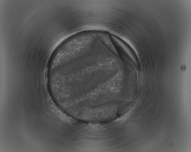 X0000088880983200707061406