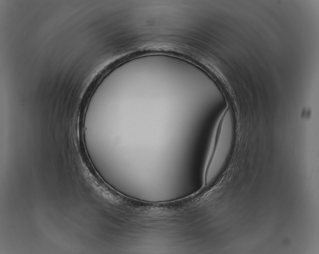 X0000088880984200707061406