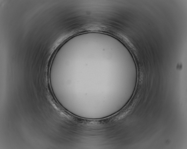 X0000088880986200707061406