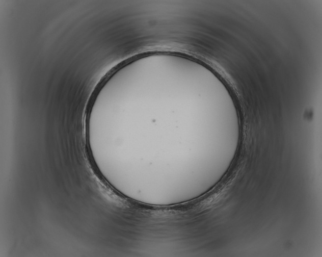 X0000088880988200707061406