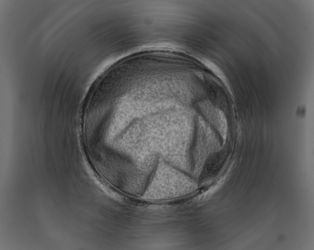 X0000088880989200707061406