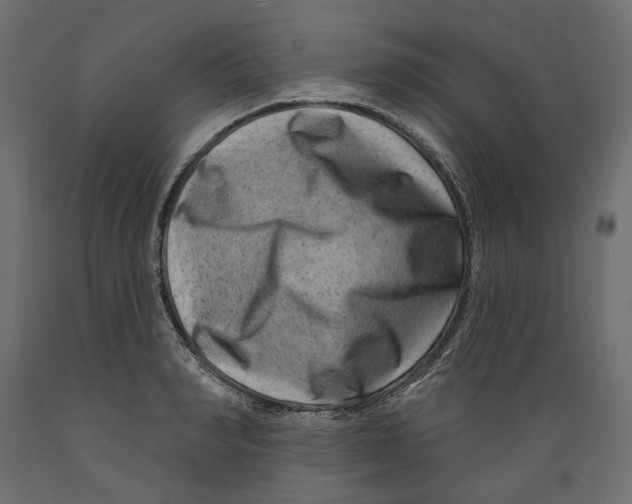 X0000088880990200707061406