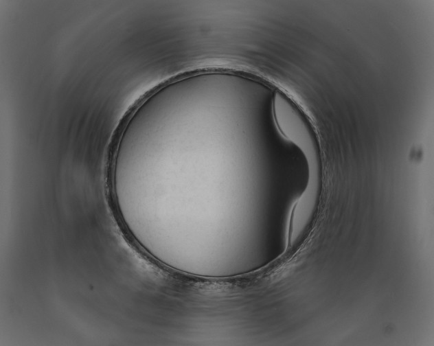 X0000088880991200707061406