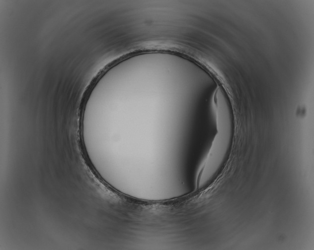 X0000088880992200707061406