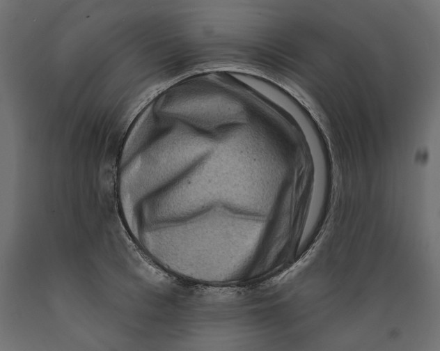 X0000088880993200707061406