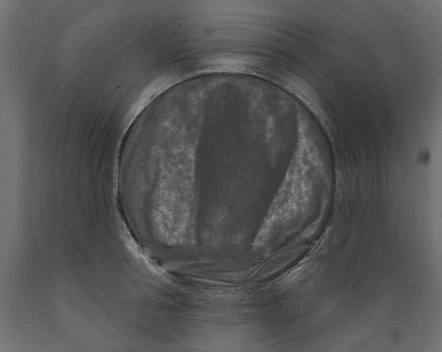 X0000088880994200707061406