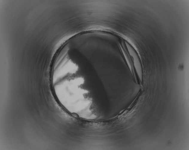 X0000088880995200707061406