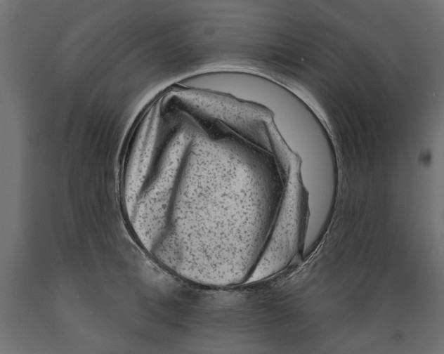 X0000088880996200707061406