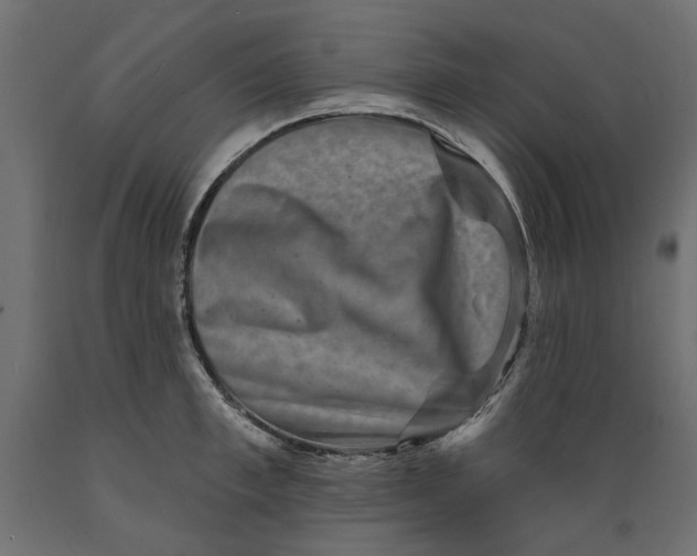 X0000088880997200707061406