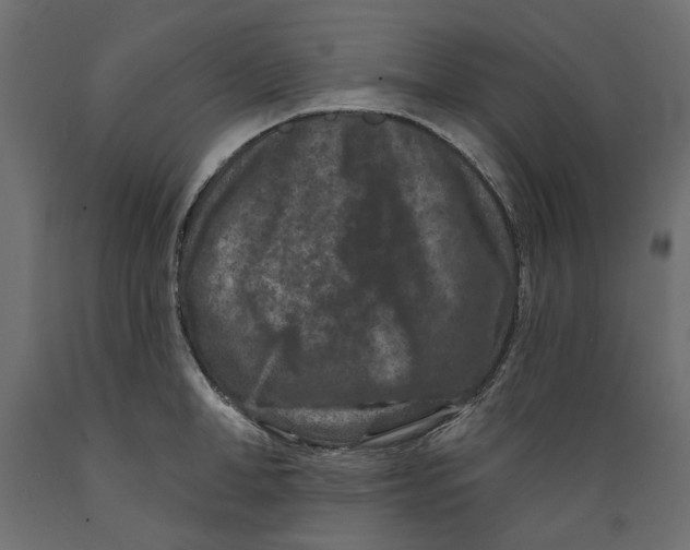 X0000088880998200707061406