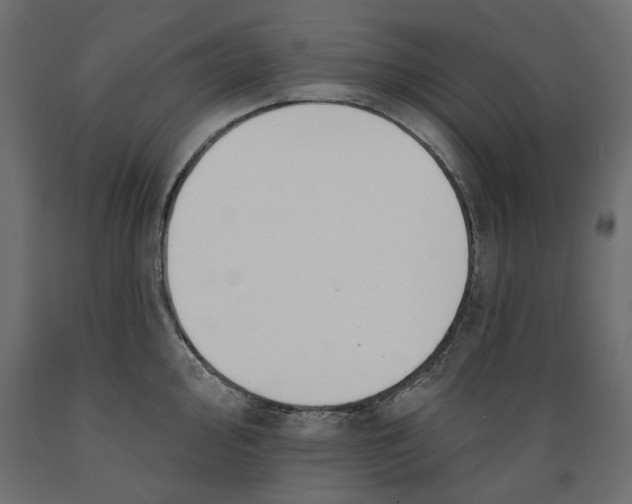 X0000088881000200707061406