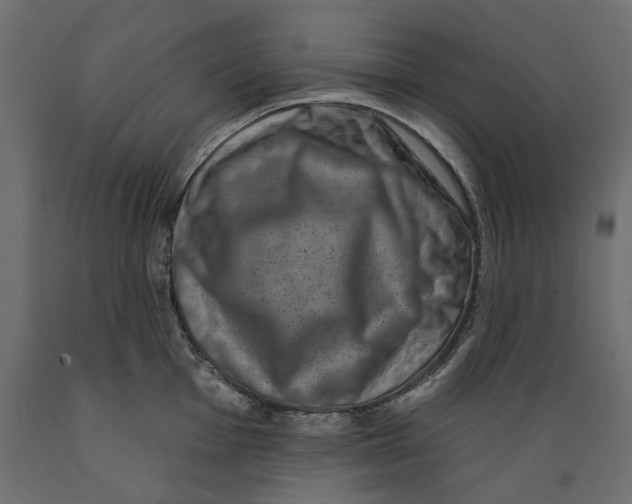 X0000088881001200707061406