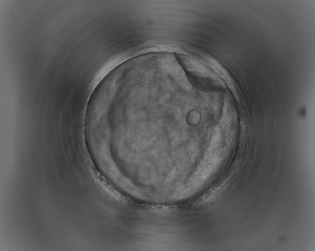 X0000088881002200707061406