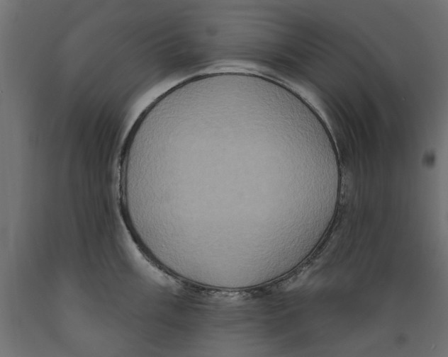 X0000088881003200707061406