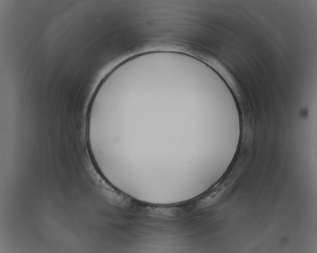 X0000088881004200707061406