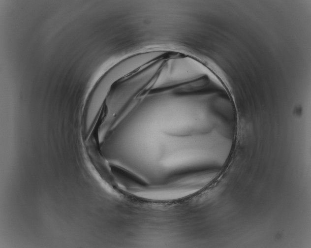 X0000088881005200707061406