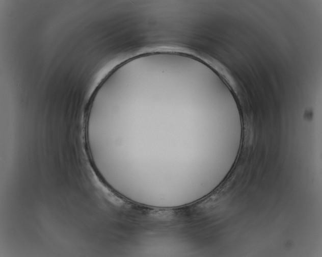 X0000088881006200707061406