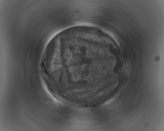 X0000088881007200707061406