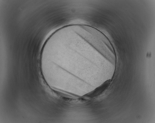 X0000088881008200707061406