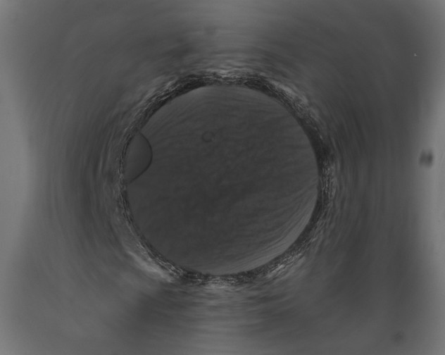 X0000088881009200707061405
