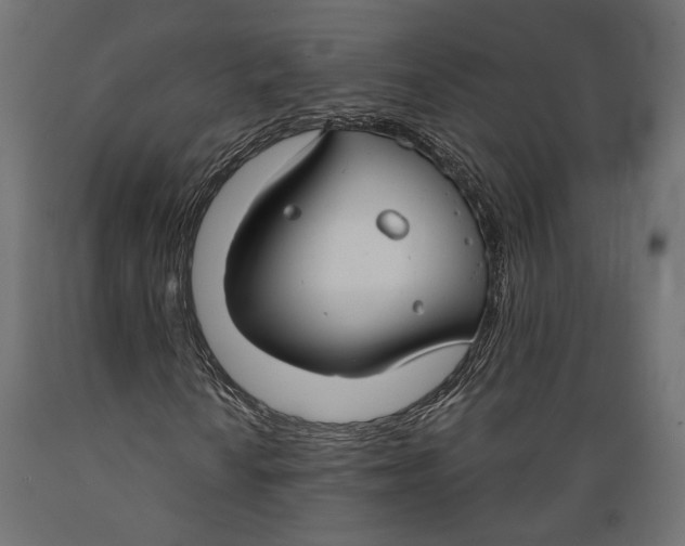 X0000088881010200707061405