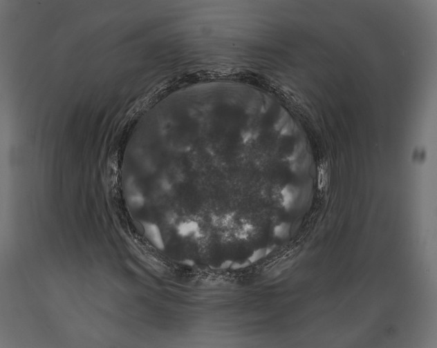 X0000088881011200707061405