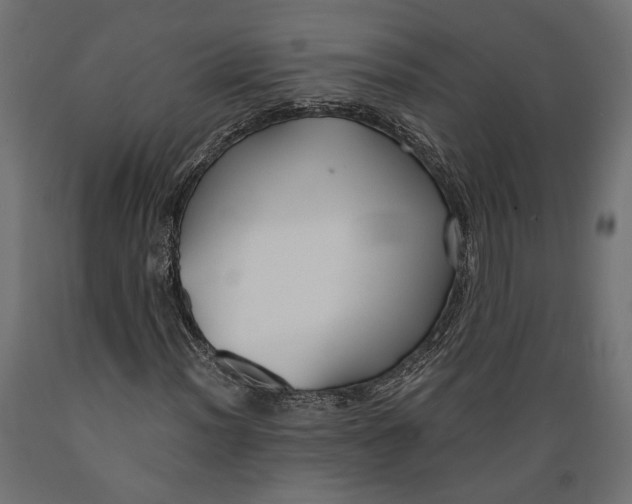 X0000088881012200707061405