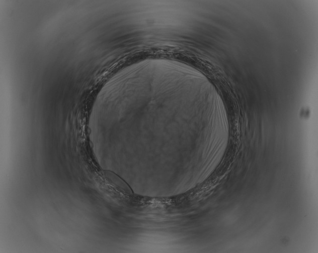 X0000088881013200707061405