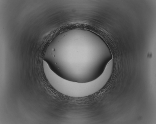 X0000088881014200707061405
