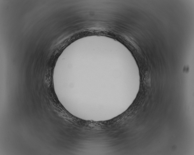 X0000088881015200707061405