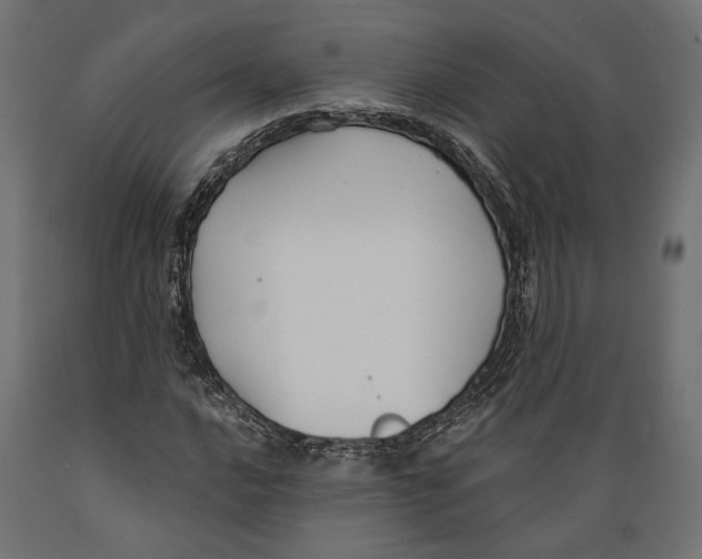 X0000088881016200707061405