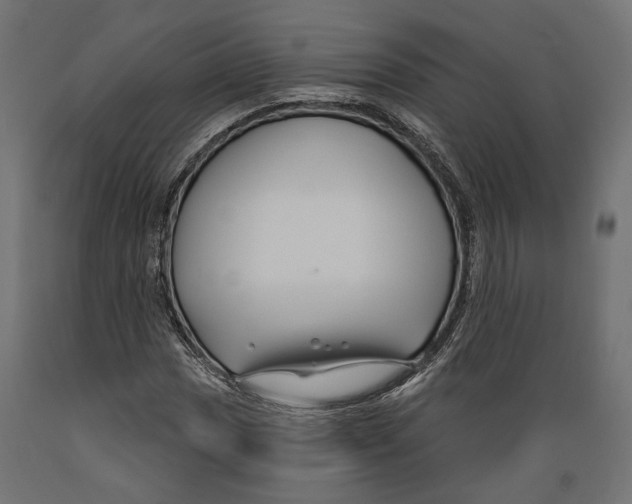 X0000088881017200707061405
