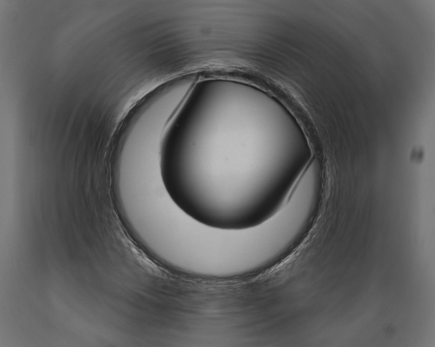 X0000088881018200707061405