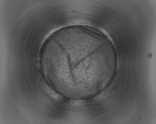 X0000088881019200707061405