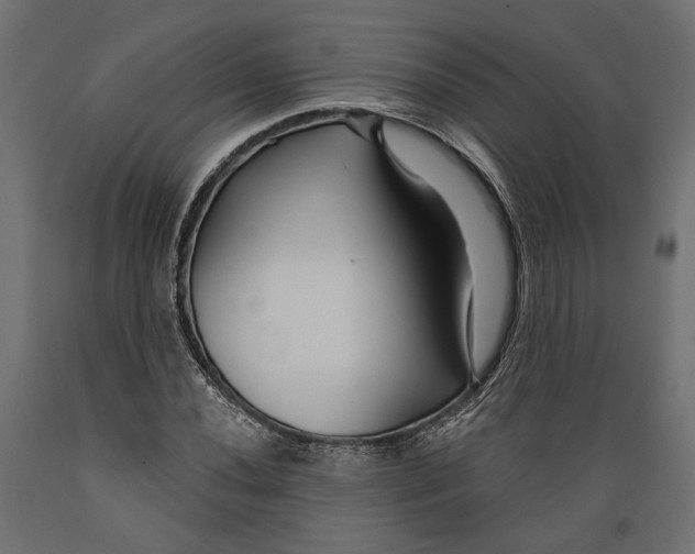 X0000088881020200707061405