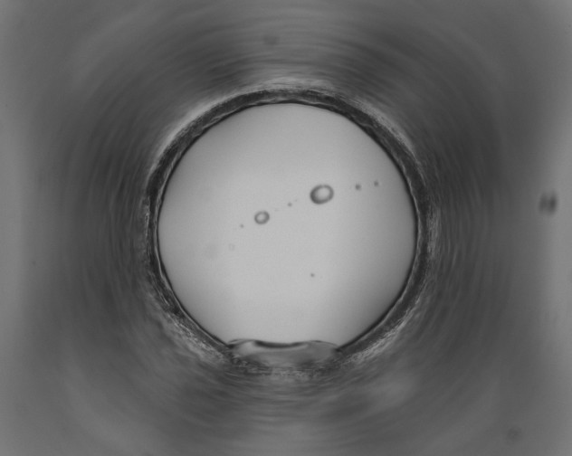X0000088881021200707061405