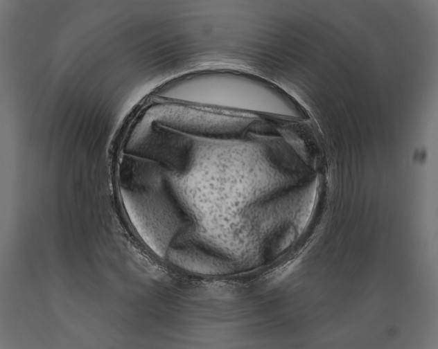 X0000088881022200707061405