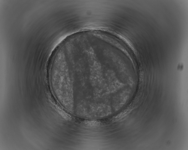 X0000088881023200707061405