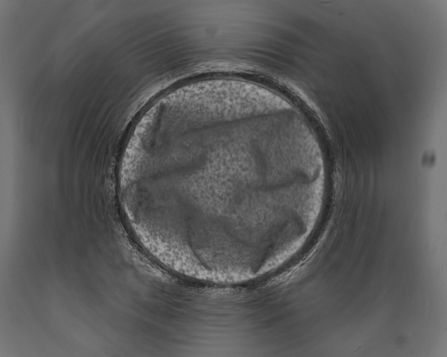 X0000088881025200707061405