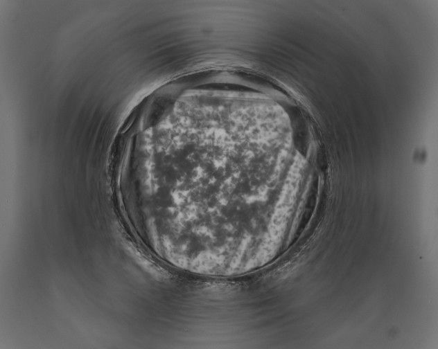 X0000088881026200707061405