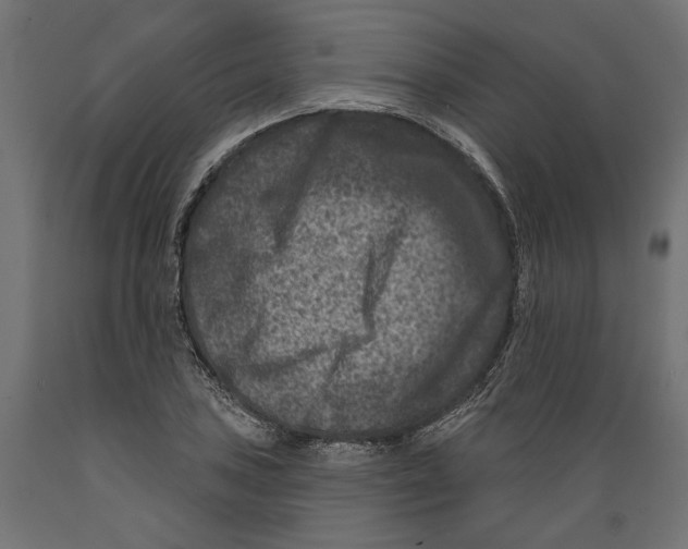 X0000088881027200707061405