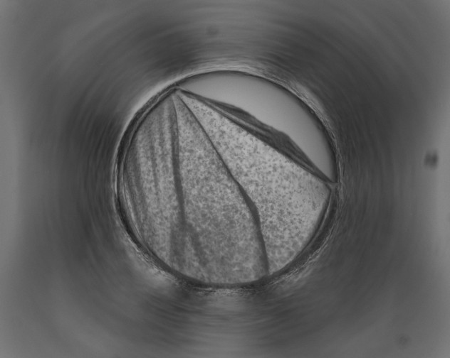 X0000088881028200707061405