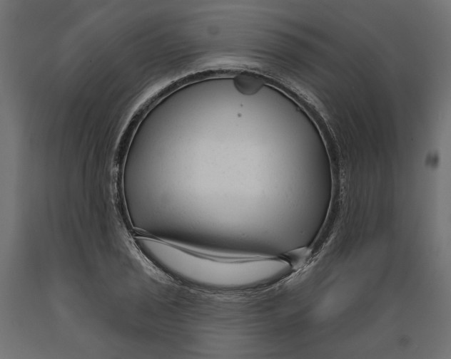 X0000088881029200707061405