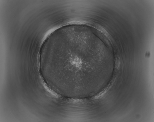 X0000088881030200707061405