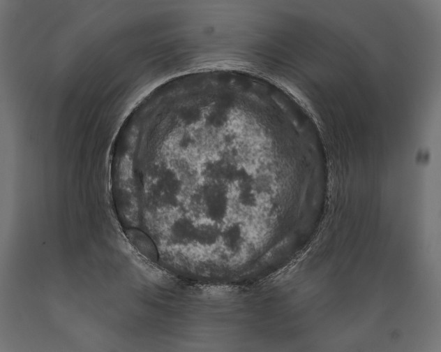 X0000088881031200707061405